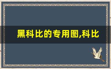 黑科比的专用图,科比照片 霸气 炫酷